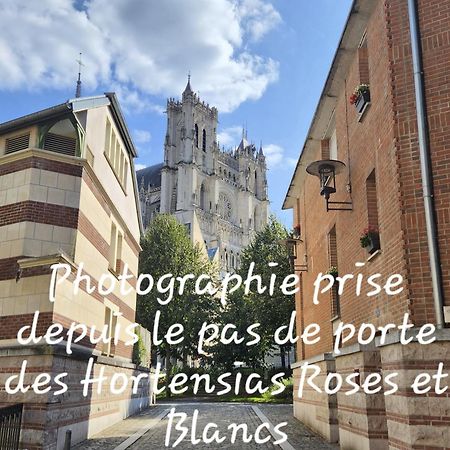 Les Hortensias Blancs Studio Αμιάν Εξωτερικό φωτογραφία