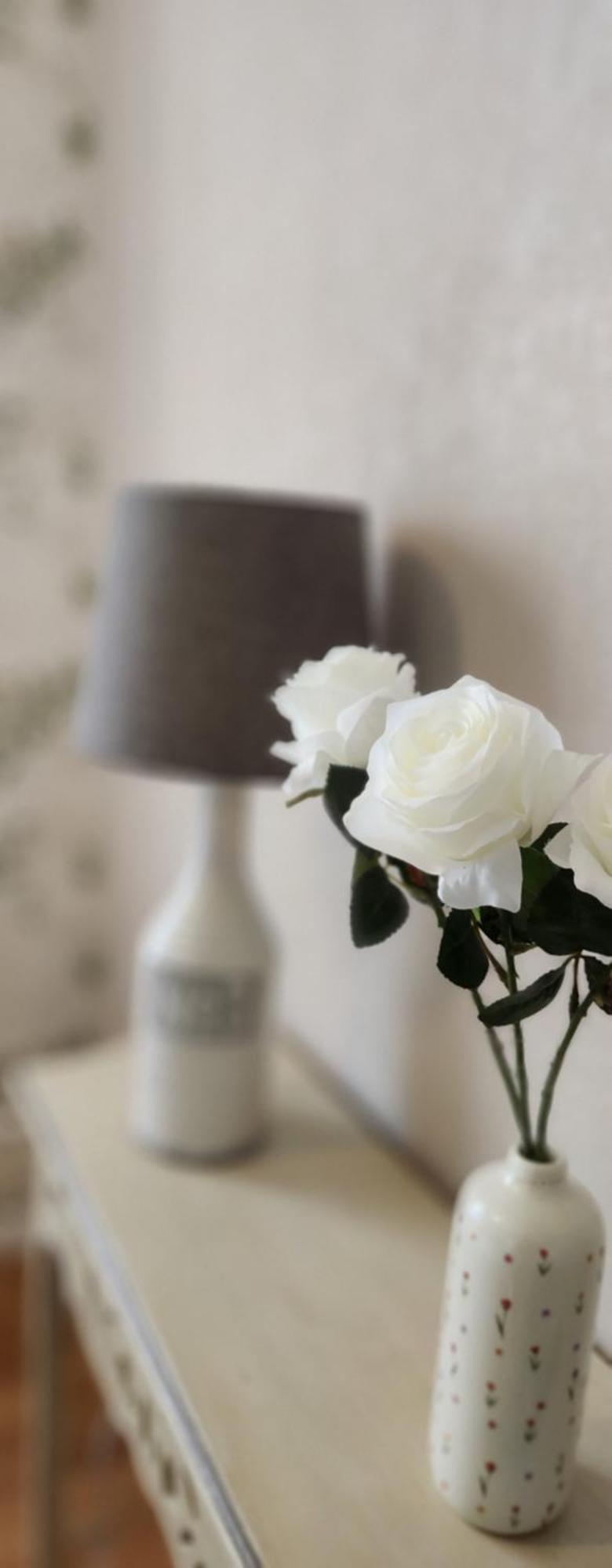 Les Hortensias Blancs Studio Αμιάν Εξωτερικό φωτογραφία