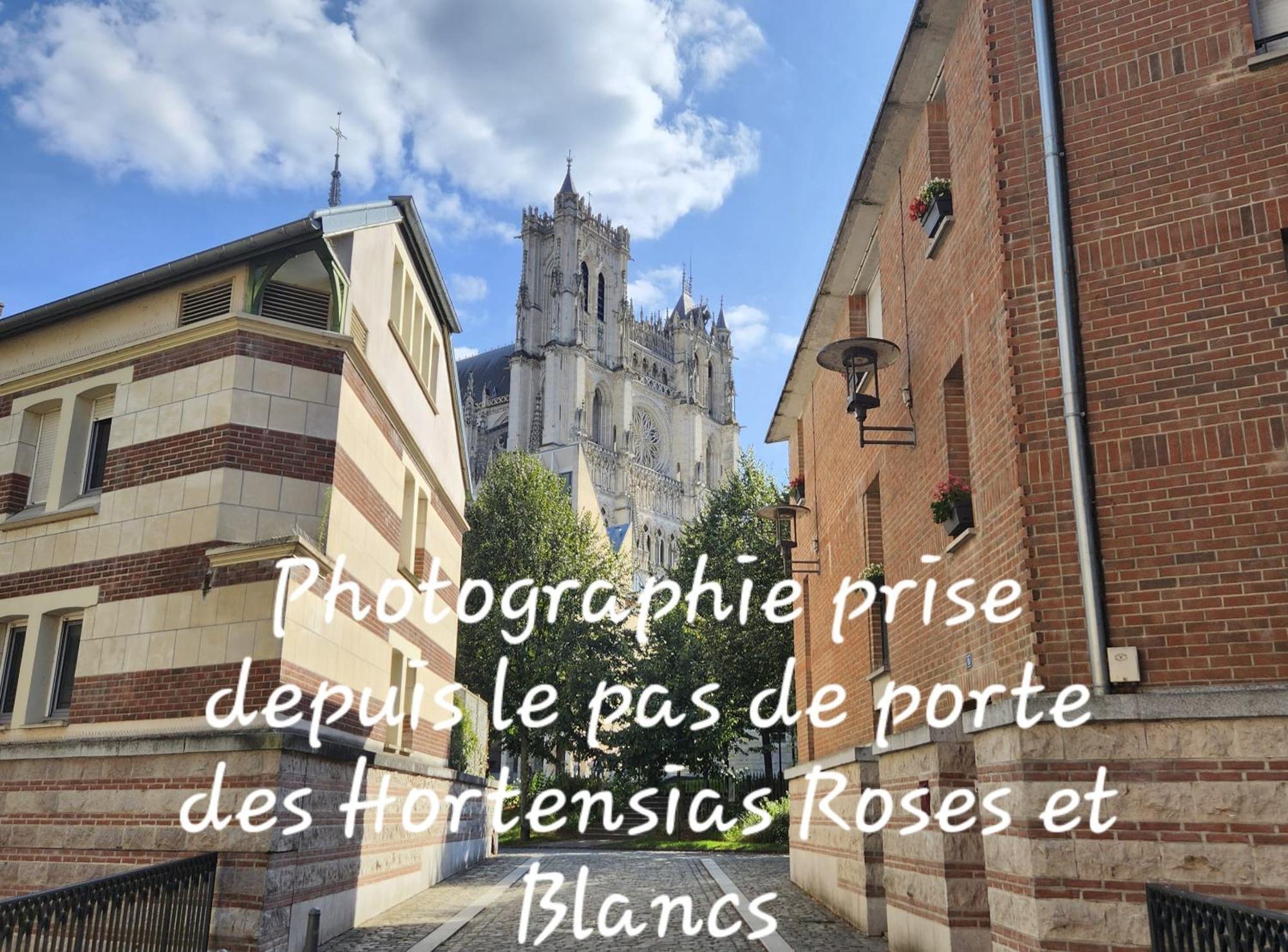Les Hortensias Blancs Studio Αμιάν Εξωτερικό φωτογραφία